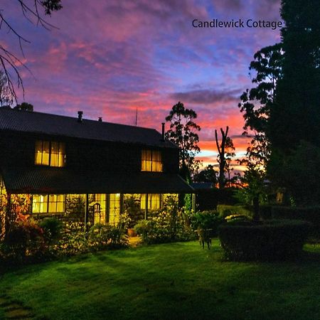 Observatory Cottages Mount Dandenong Ngoại thất bức ảnh
