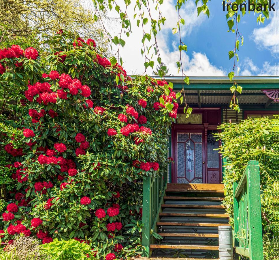 Observatory Cottages Mount Dandenong Ngoại thất bức ảnh