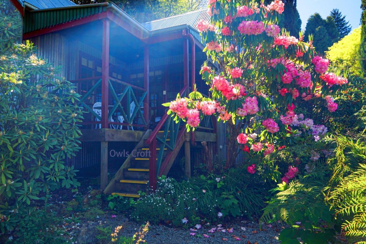 Observatory Cottages Mount Dandenong Ngoại thất bức ảnh