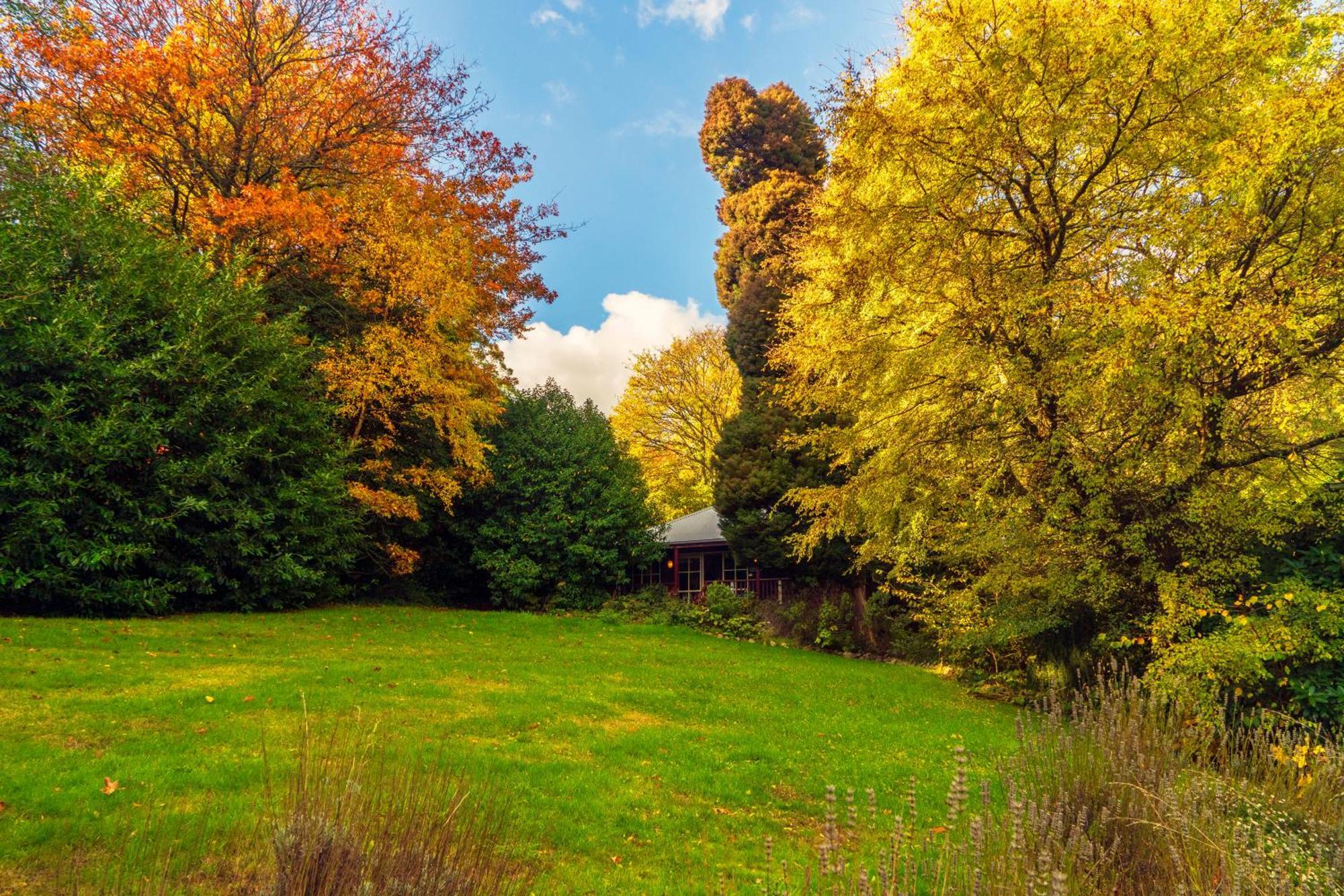 Observatory Cottages Mount Dandenong Phòng bức ảnh