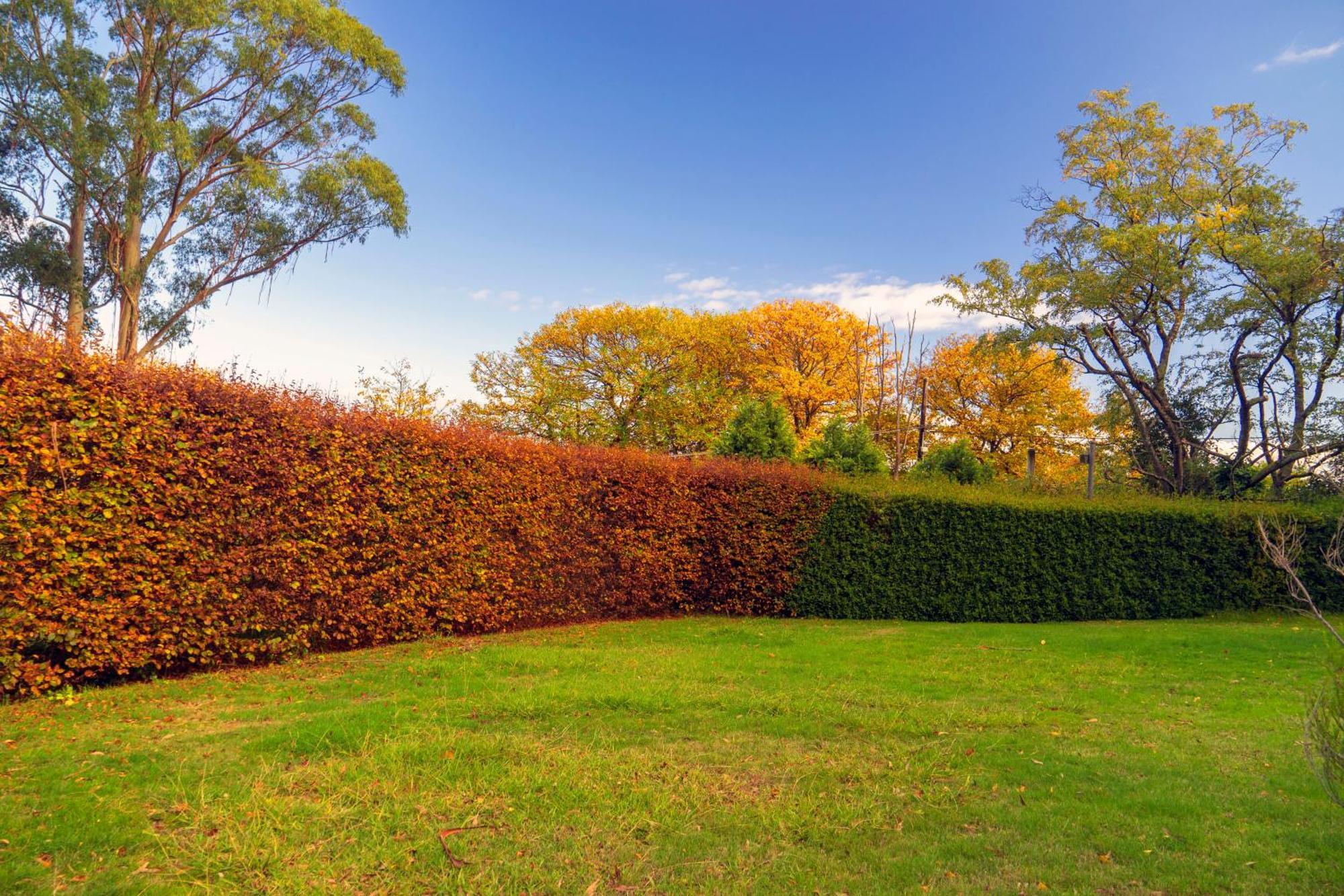 Observatory Cottages Mount Dandenong Ngoại thất bức ảnh